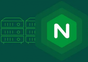 通過Nginx訪問的https的5121轉向到http的5021